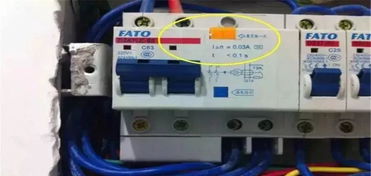 配電箱上的“生命安全鍵” 每月一按，安全常伴